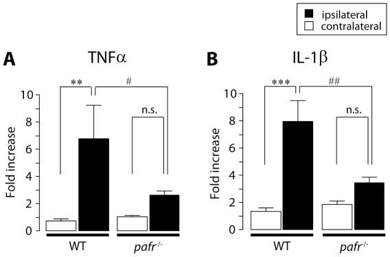 https://cdn.ncbi.nlm.nih.gov/pmc/blobs/77ef/2862737/b1eb398bdd47/pone.0010467.g008.jpg