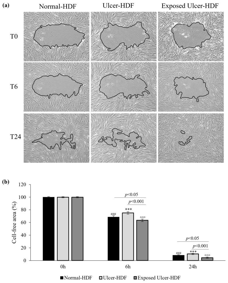 https://cdn.ncbi.nlm.nih.gov/pmc/blobs/77f2/11047973/0e68ad6aee0e/bioengineering-11-00357-g004.jpg