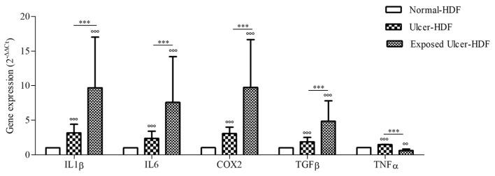 https://cdn.ncbi.nlm.nih.gov/pmc/blobs/77f2/11047973/14fc8b30b89d/bioengineering-11-00357-g005.jpg