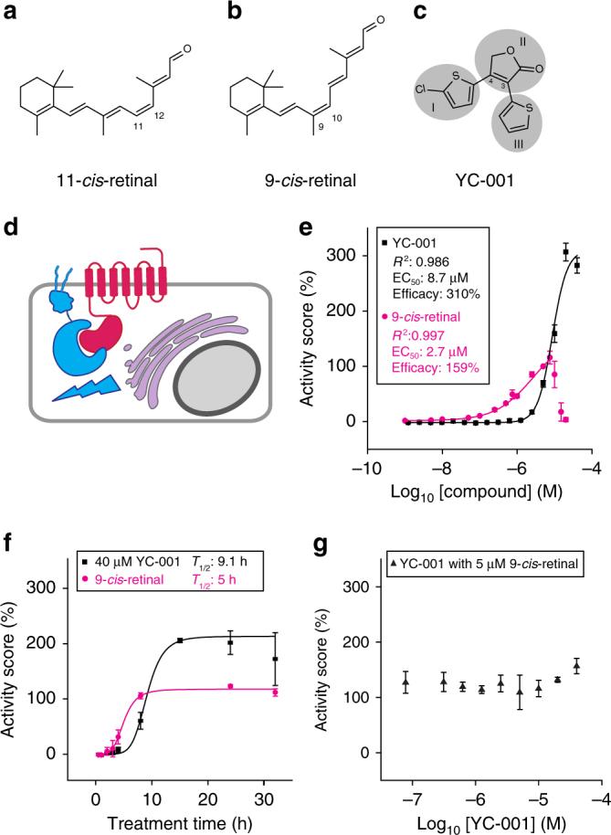 https://cdn.ncbi.nlm.nih.gov/pmc/blobs/77f2/5958115/be83200fdadd/41467_2018_4261_Fig1_HTML.jpg