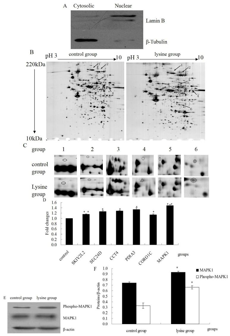 https://cdn.ncbi.nlm.nih.gov/pmc/blobs/77f3/6270553/576966409de8/molecules-18-00263-g002.jpg