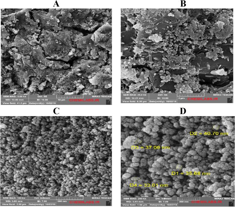 https://cdn.ncbi.nlm.nih.gov/pmc/blobs/77f5/9526713/ae2f2e54051f/41598_2022_20595_Fig10_HTML.jpg