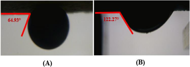 https://cdn.ncbi.nlm.nih.gov/pmc/blobs/77f5/9526713/ee525c40214a/41598_2022_20595_Fig2_HTML.jpg