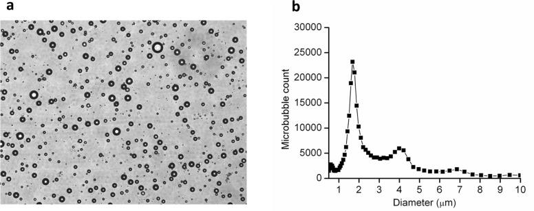 https://cdn.ncbi.nlm.nih.gov/pmc/blobs/77f7/4749330/609d96a4826d/pone.0149075.g001.jpg