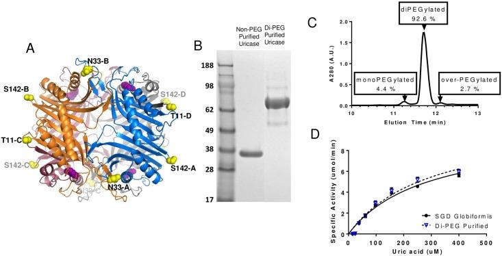 https://cdn.ncbi.nlm.nih.gov/pmc/blobs/77fa/5176304/a3c5983ae1e6/pone.0167935.g007.jpg