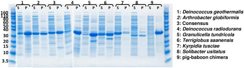 https://cdn.ncbi.nlm.nih.gov/pmc/blobs/77fa/5176304/ca386c48fbf5/pone.0167935.g001.jpg