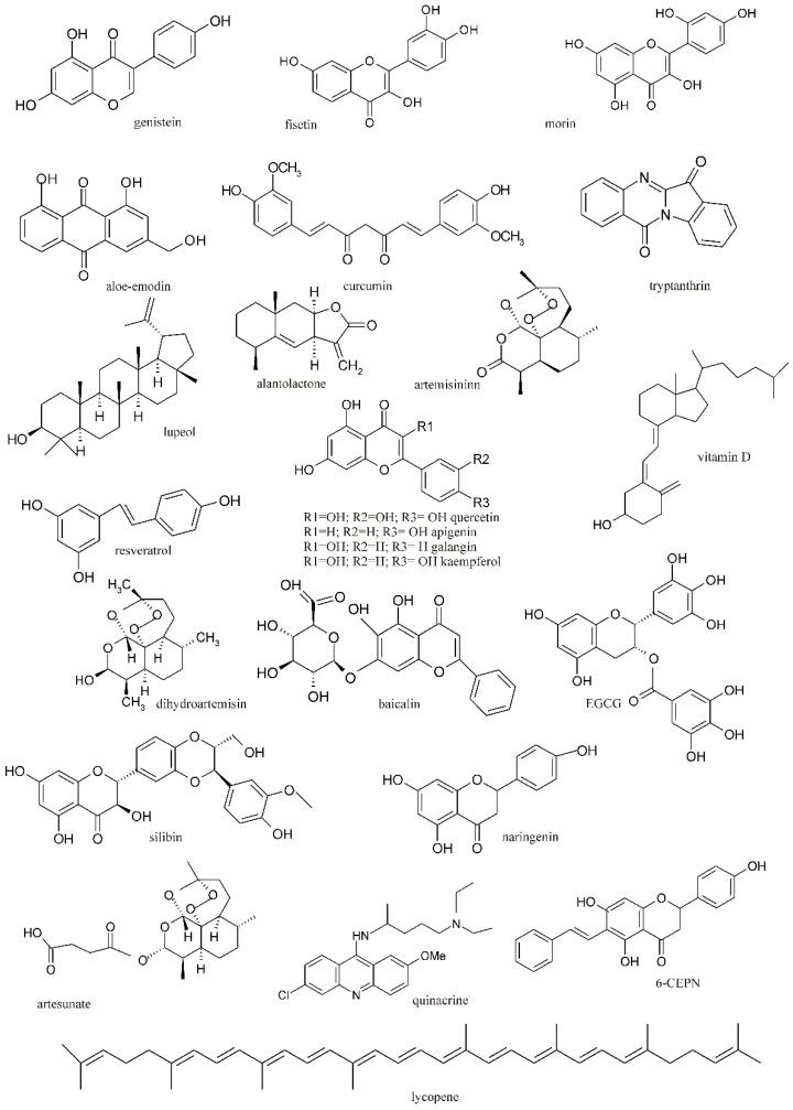 https://cdn.ncbi.nlm.nih.gov/pmc/blobs/77fb/11641450/1b4068ecb702/ijms-25-12804-g001.jpg