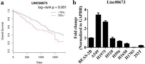https://cdn.ncbi.nlm.nih.gov/pmc/blobs/77fb/5504775/082c99f5abcb/12943_2017_685_Fig1_HTML.jpg