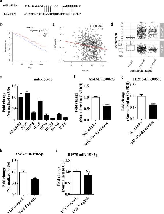 https://cdn.ncbi.nlm.nih.gov/pmc/blobs/77fb/5504775/80ba642aac38/12943_2017_685_Fig4_HTML.jpg