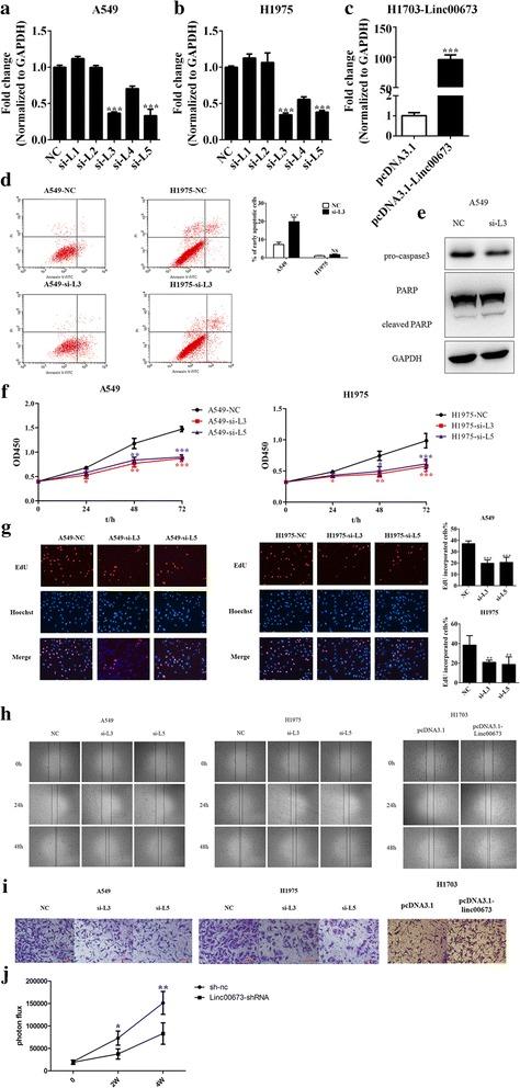 https://cdn.ncbi.nlm.nih.gov/pmc/blobs/77fb/5504775/85c0edf2f777/12943_2017_685_Fig2_HTML.jpg