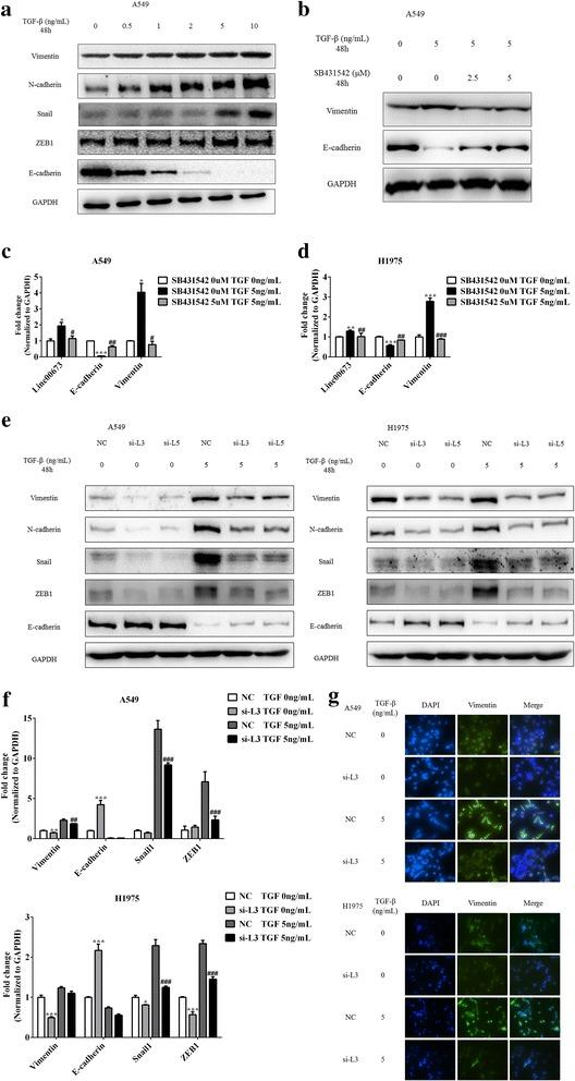 https://cdn.ncbi.nlm.nih.gov/pmc/blobs/77fb/5504775/9b8737f0ef8a/12943_2017_685_Fig3_HTML.jpg