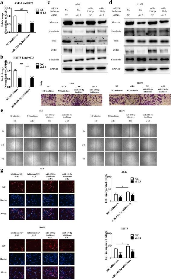 https://cdn.ncbi.nlm.nih.gov/pmc/blobs/77fb/5504775/e88b6bee6370/12943_2017_685_Fig6_HTML.jpg