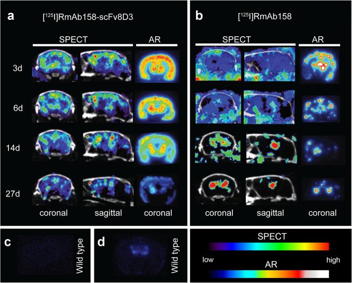https://cdn.ncbi.nlm.nih.gov/pmc/blobs/77fd/7504681/6cbab77034d9/40035_2020_214_Fig2_HTML.jpg