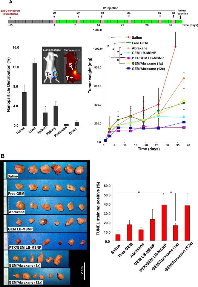 https://cdn.ncbi.nlm.nih.gov/pmc/blobs/77fe/4415452/18ec6f673dc8/nn-2015-005102_0004.jpg