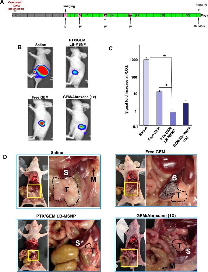 https://cdn.ncbi.nlm.nih.gov/pmc/blobs/77fe/4415452/454e13daecdc/nn-2015-005102_0007.jpg