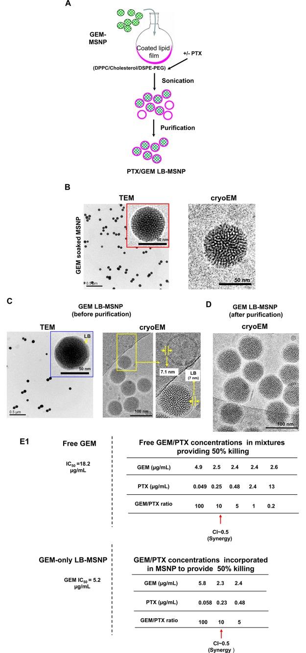 https://cdn.ncbi.nlm.nih.gov/pmc/blobs/77fe/4415452/c05329965247/nn-2015-005102_0002.jpg