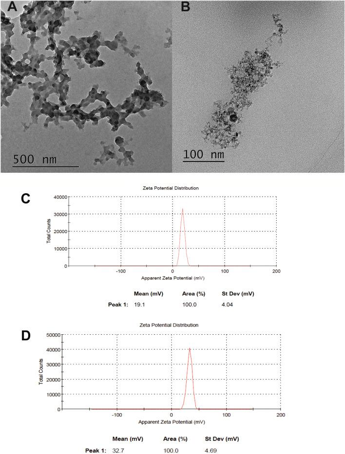 https://cdn.ncbi.nlm.nih.gov/pmc/blobs/77ff/8134426/a04add1278ae/41598_2021_89943_Fig3_HTML.jpg