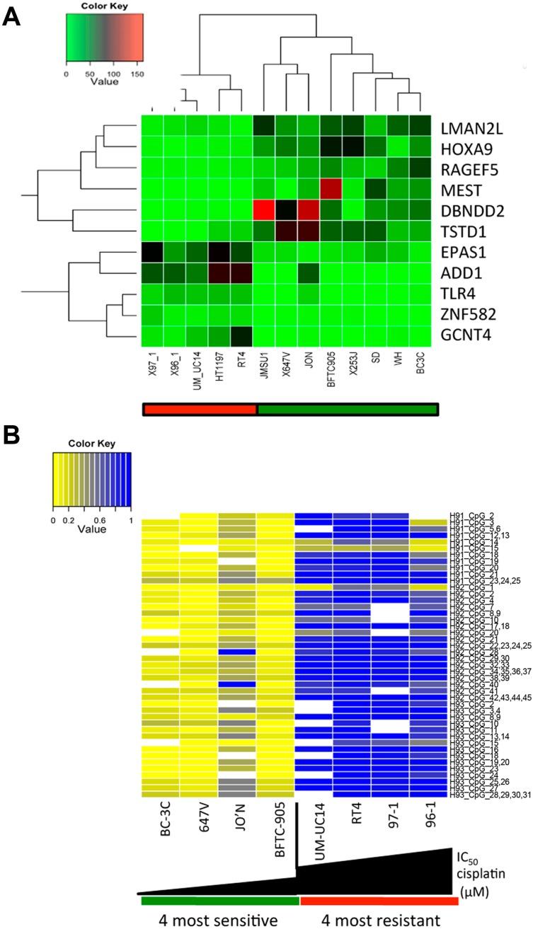https://cdn.ncbi.nlm.nih.gov/pmc/blobs/7802/5039423/be99097957fb/biomolecules-06-00037-g002.jpg