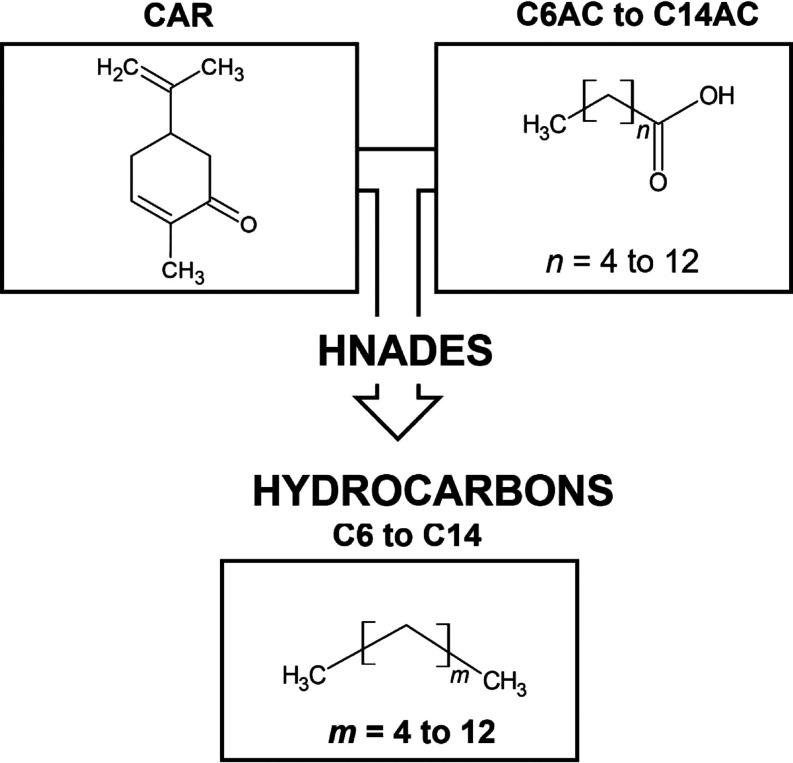 https://cdn.ncbi.nlm.nih.gov/pmc/blobs/7803/11664508/431f109cfd35/ef4c03623_0001.jpg