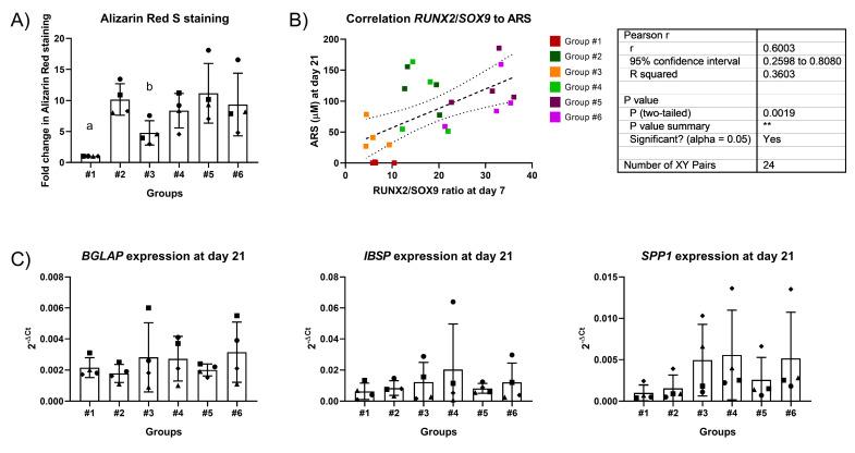 https://cdn.ncbi.nlm.nih.gov/pmc/blobs/7804/8124248/333968d34758/ijms-22-04785-g005.jpg
