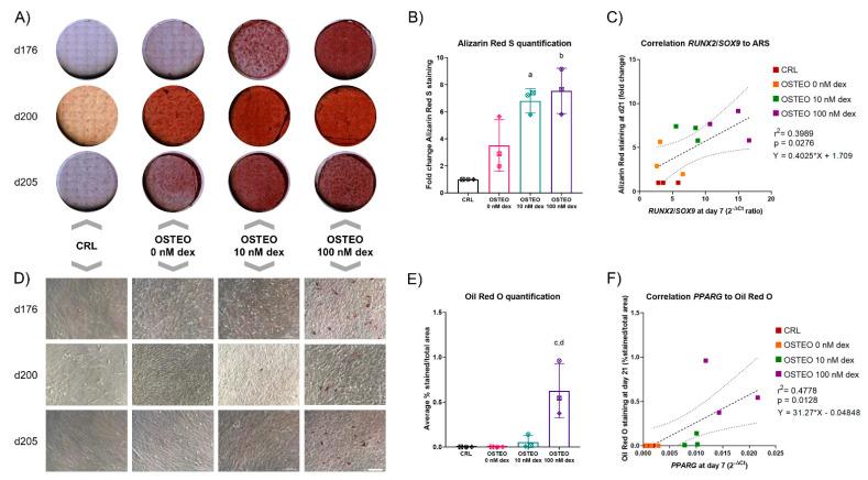 https://cdn.ncbi.nlm.nih.gov/pmc/blobs/7804/8124248/556b912218ab/ijms-22-04785-g001.jpg