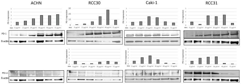 https://cdn.ncbi.nlm.nih.gov/pmc/blobs/7804/9776360/1beeacfe75aa/biomedicines-10-03244-g001.jpg