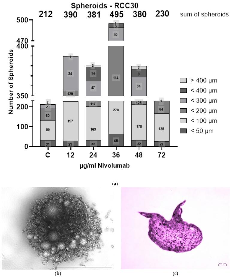 https://cdn.ncbi.nlm.nih.gov/pmc/blobs/7804/9776360/ae2faadf3d02/biomedicines-10-03244-g005.jpg