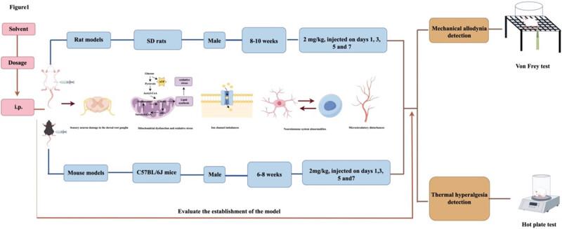 https://cdn.ncbi.nlm.nih.gov/pmc/blobs/7805/12260356/fb14c7bf4bd1/j_biol-2025-1122-fig001.jpg