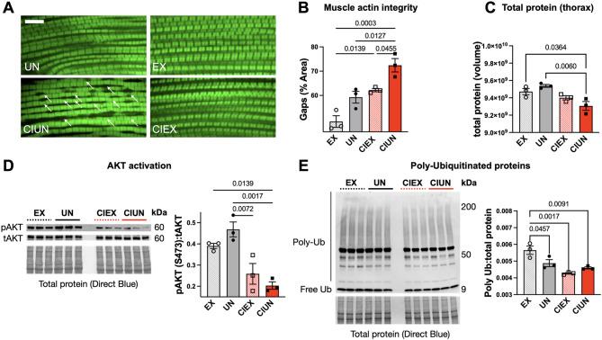 https://cdn.ncbi.nlm.nih.gov/pmc/blobs/7806/12314096/105b8904bccf/41598_2025_13446_Fig5_HTML.jpg
