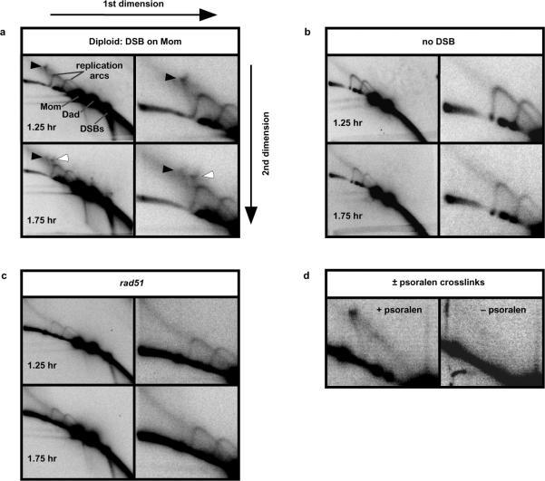 https://cdn.ncbi.nlm.nih.gov/pmc/blobs/7809/2851831/80a71ba65b4d/nihms-174216-f0002.jpg