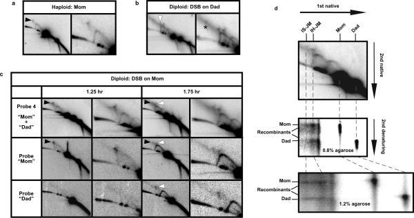 https://cdn.ncbi.nlm.nih.gov/pmc/blobs/7809/2851831/b6c5b9541faf/nihms-174216-f0003.jpg