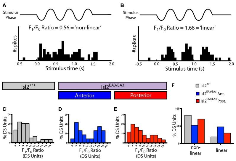 https://cdn.ncbi.nlm.nih.gov/pmc/blobs/7809/5641327/0350e2dd8361/fncir-11-00073-g0005.jpg