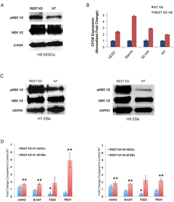 https://cdn.ncbi.nlm.nih.gov/pmc/blobs/780a/4699193/ca5256fdb9fd/pone.0145280.g004.jpg