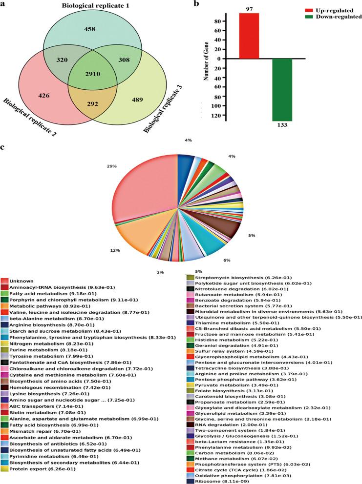 https://cdn.ncbi.nlm.nih.gov/pmc/blobs/780b/9107242/a60878175fc4/12934_2022_1808_Fig7_HTML.jpg