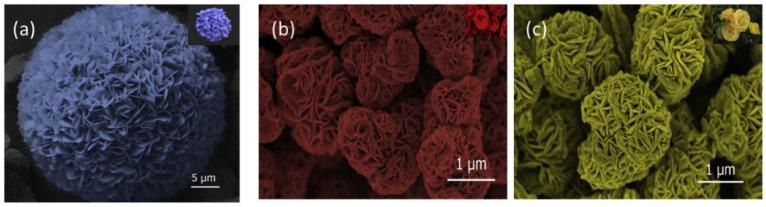 https://cdn.ncbi.nlm.nih.gov/pmc/blobs/780c/9855562/75fe60b2701a/biosensors-13-00114-g009.jpg