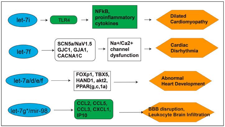 https://cdn.ncbi.nlm.nih.gov/pmc/blobs/780d/8227213/5aa4b0970d27/biomedicines-09-00606-g002.jpg