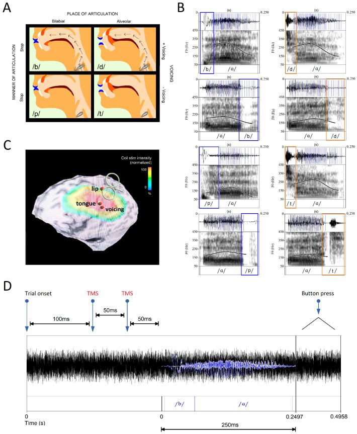 https://cdn.ncbi.nlm.nih.gov/pmc/blobs/780e/11430724/9f9d7446c068/brainsci-14-00895-g001.jpg