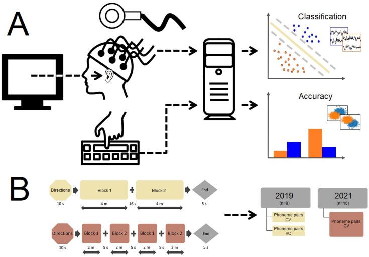 https://cdn.ncbi.nlm.nih.gov/pmc/blobs/780e/11430724/bd9385e9aaa8/brainsci-14-00895-g002.jpg