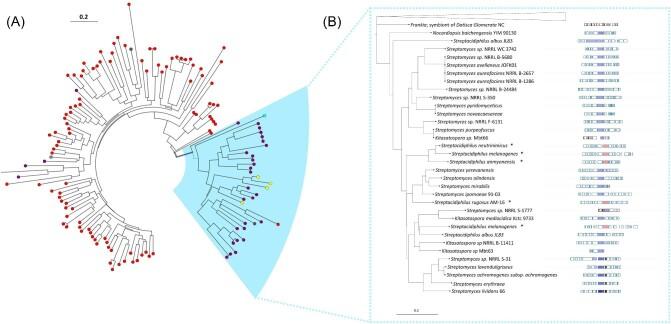 https://cdn.ncbi.nlm.nih.gov/pmc/blobs/7817/10548850/d78a0a998577/kuad021fig2.jpg