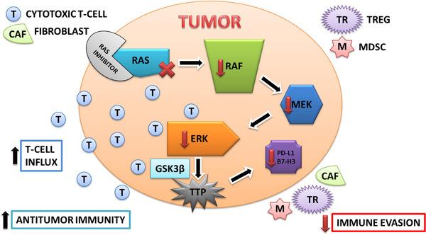 https://cdn.ncbi.nlm.nih.gov/pmc/blobs/7818/8491231/1e15839ef308/MCO2-1-121-g003.jpg