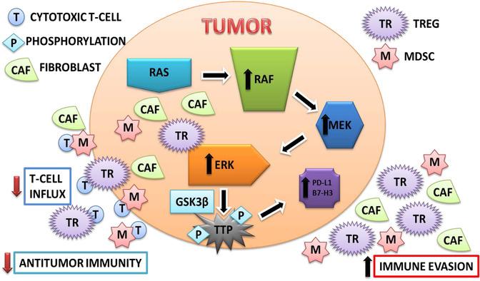 https://cdn.ncbi.nlm.nih.gov/pmc/blobs/7818/8491231/e9d3cd6e66d3/MCO2-1-121-g002.jpg