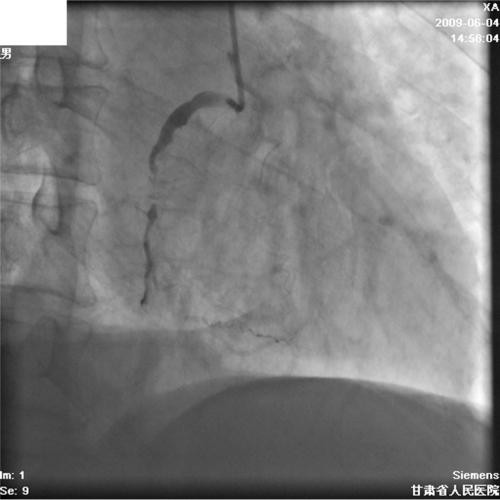 https://cdn.ncbi.nlm.nih.gov/pmc/blobs/781b/3091417/1e7aad6ec7b1/cmc-2011-041f1.jpg
