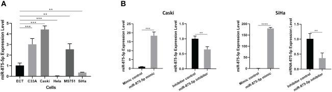 https://cdn.ncbi.nlm.nih.gov/pmc/blobs/781f/11116804/6b8196d110e7/fonc-14-1361721-g001.jpg