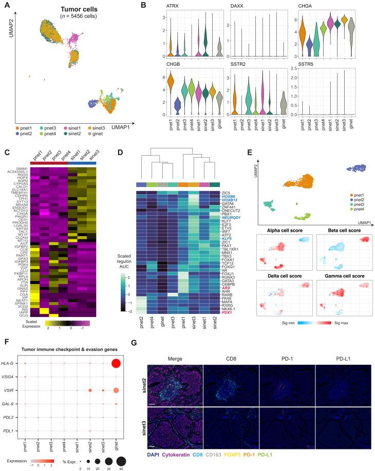 https://cdn.ncbi.nlm.nih.gov/pmc/blobs/7822/10530100/34fb449fdb1a/sciadv.add9668-f2.jpg