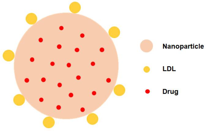 https://cdn.ncbi.nlm.nih.gov/pmc/blobs/7823/9863478/95980c3f4979/pharmaceuticals-16-00018-g005.jpg