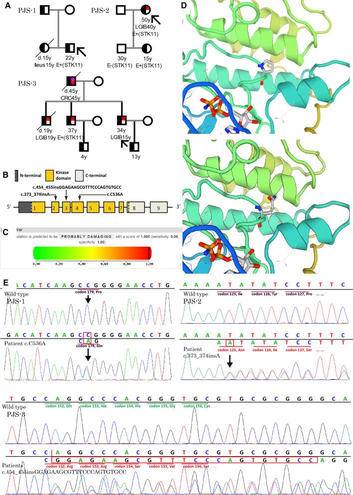 https://cdn.ncbi.nlm.nih.gov/pmc/blobs/7828/8186215/22991c46068a/13023_2021_1900_Fig1_HTML.jpg
