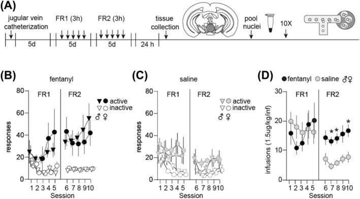 https://cdn.ncbi.nlm.nih.gov/pmc/blobs/7829/11089014/e8b0088c83fb/ADB-29-e13403-g003.jpg
