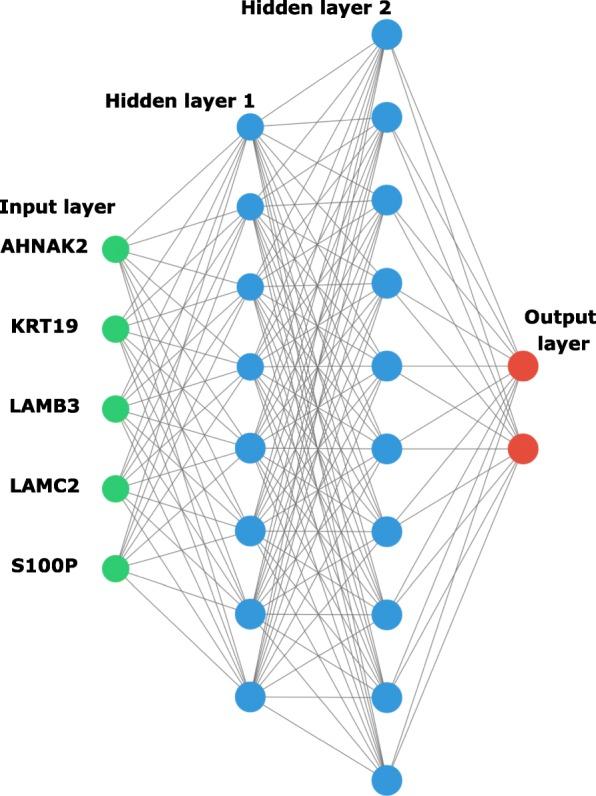 https://cdn.ncbi.nlm.nih.gov/pmc/blobs/7829/6995241/e727f91705f7/12885_2020_6533_Fig1_HTML.jpg