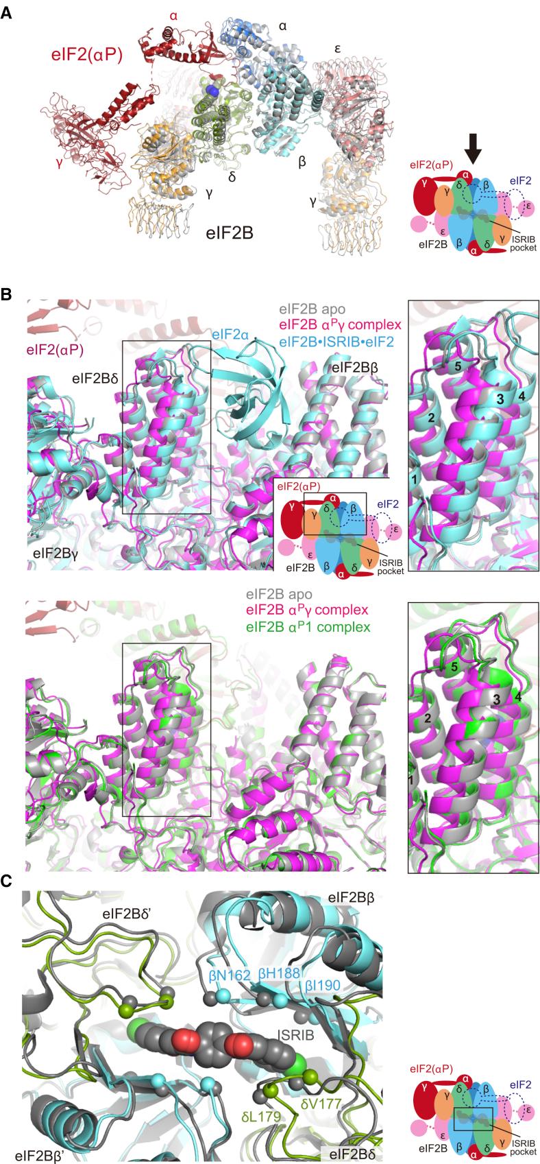https://cdn.ncbi.nlm.nih.gov/pmc/blobs/782a/7837216/4b2457995abe/gr2.jpg
