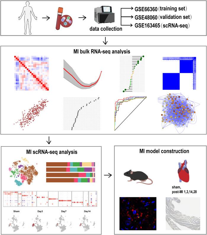 https://cdn.ncbi.nlm.nih.gov/pmc/blobs/782b/11994735/6f05ed832857/fcvm-12-1516043-g001.jpg